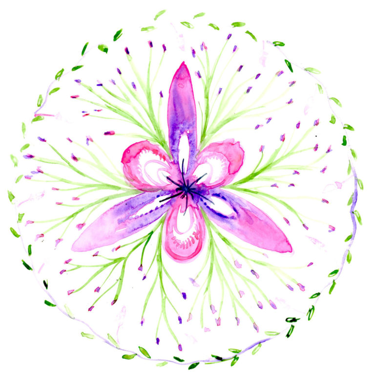 Louises Botanical Mandalas Botanical Mandalas