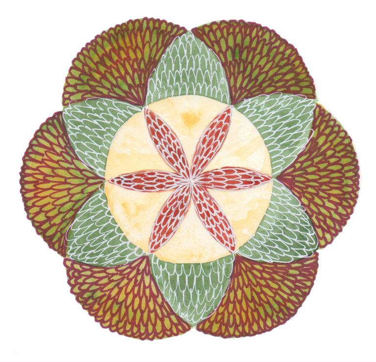 Louises Botanical Mandalas Botanical Mandalas